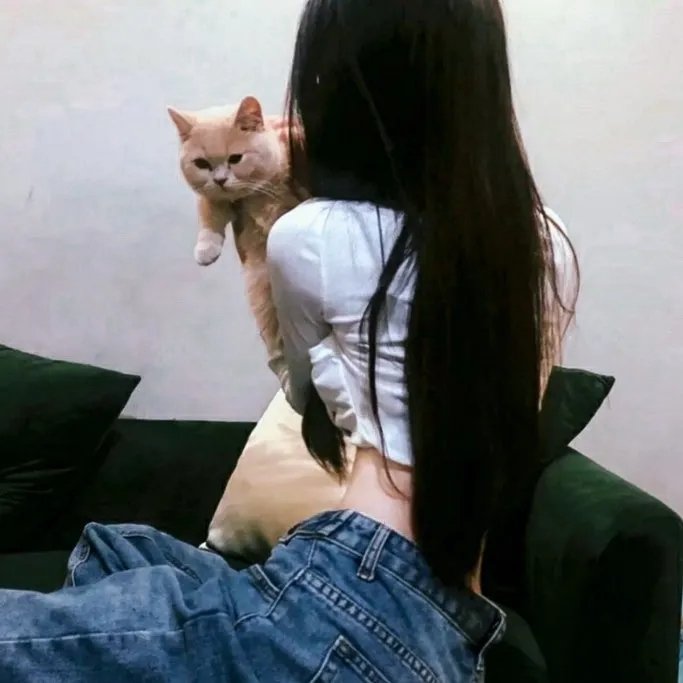 蒙面侠苏洛